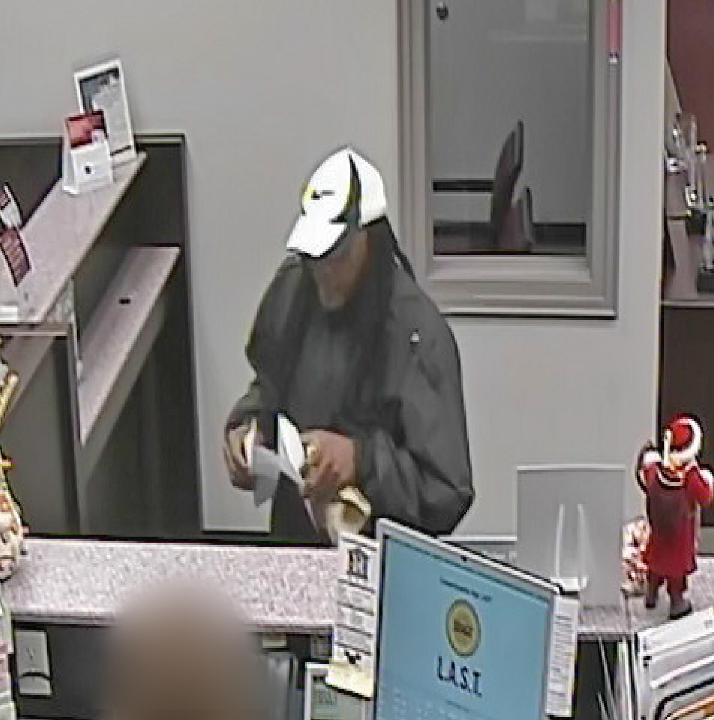 Bank Robber image 1
