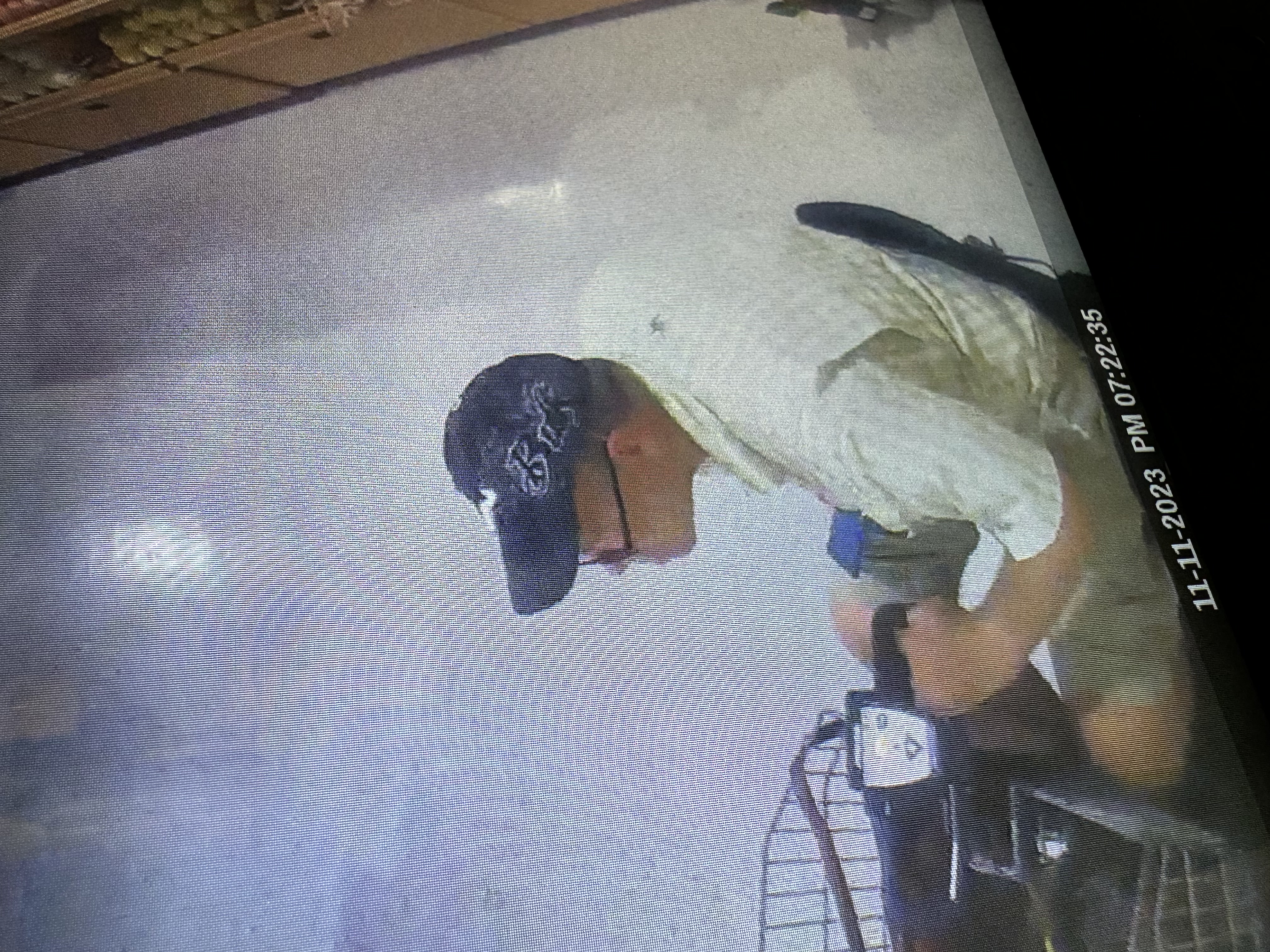 Suspect image 1