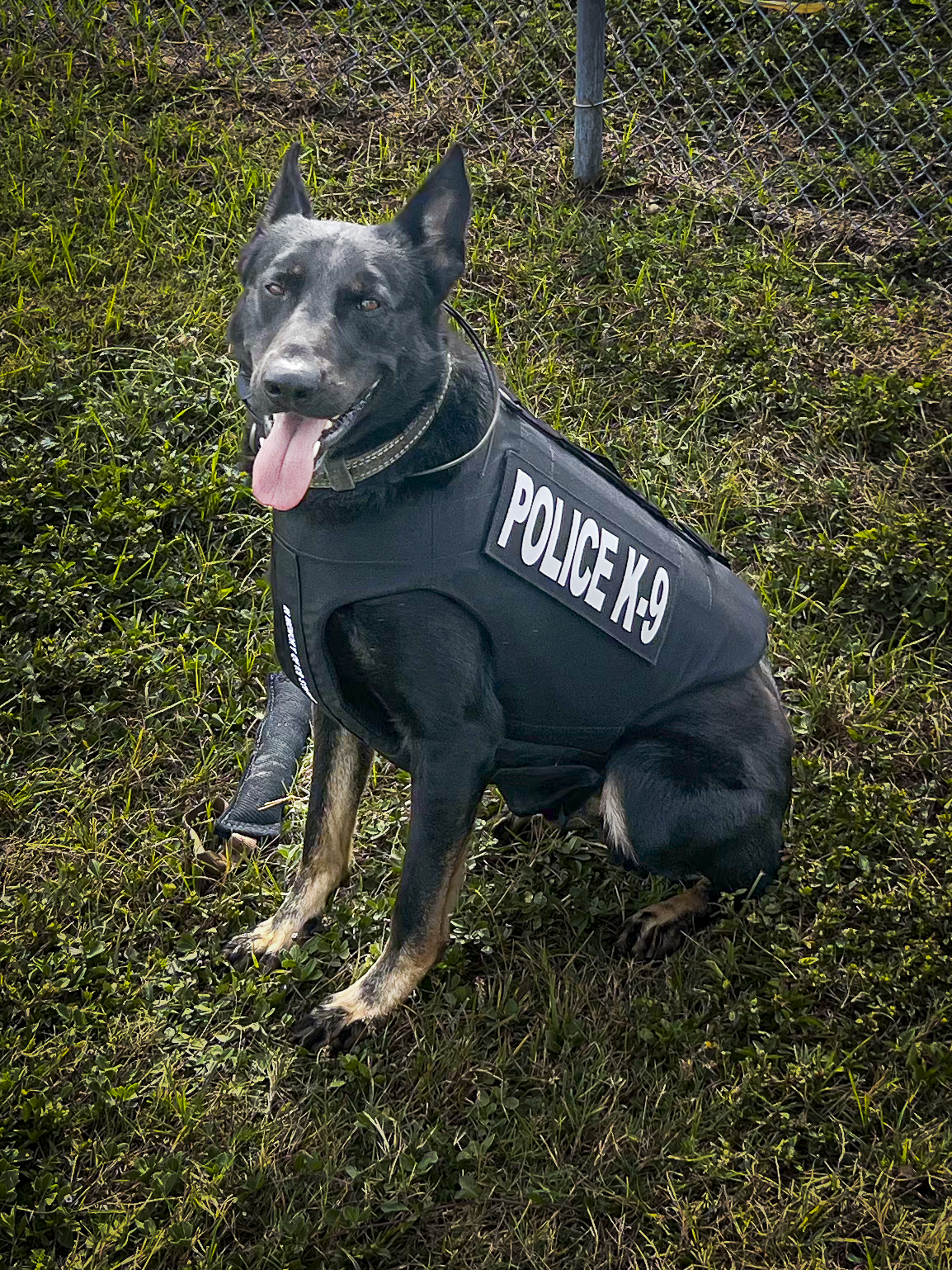 Axel in Vest