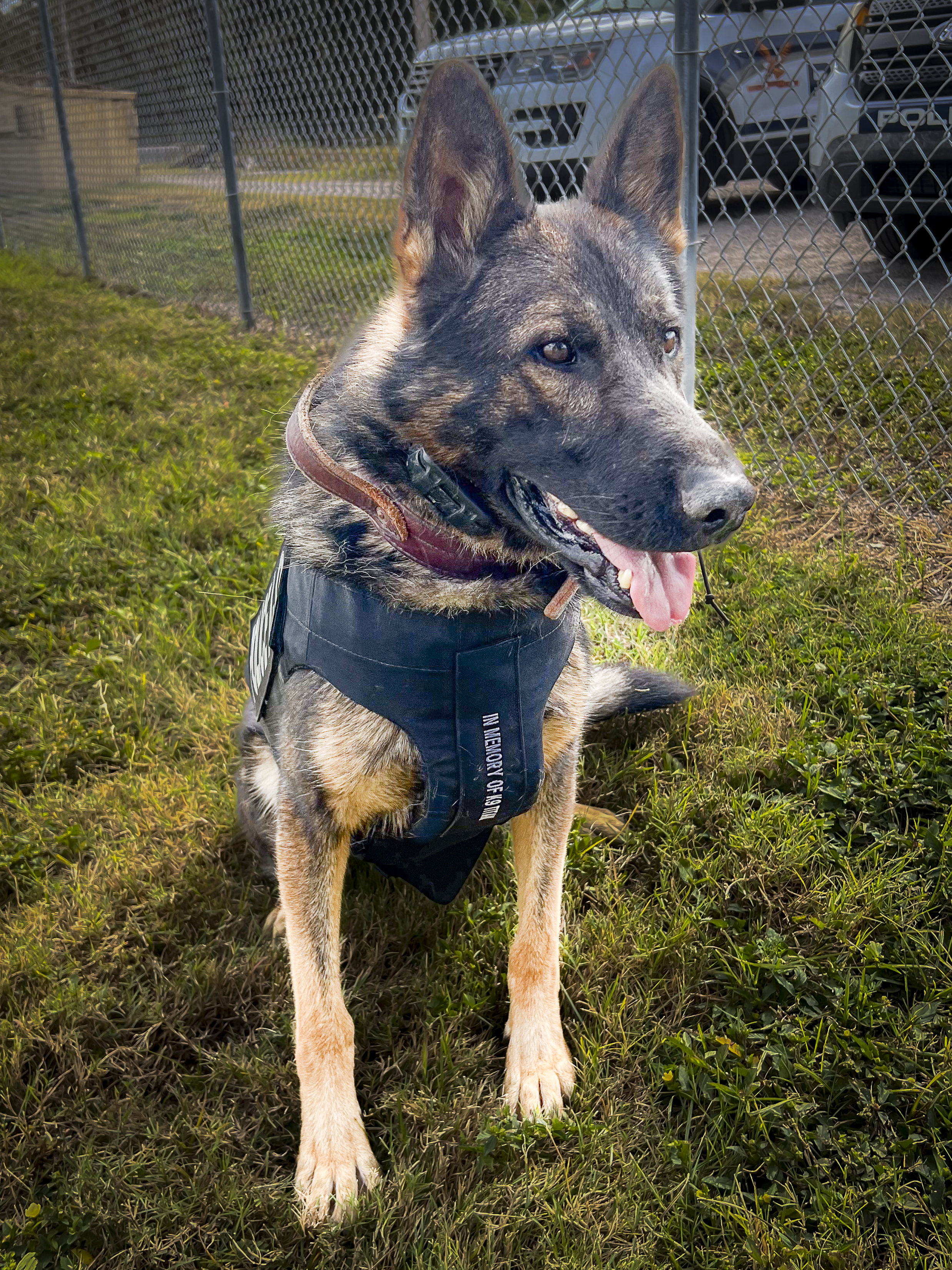 Nacho in vest