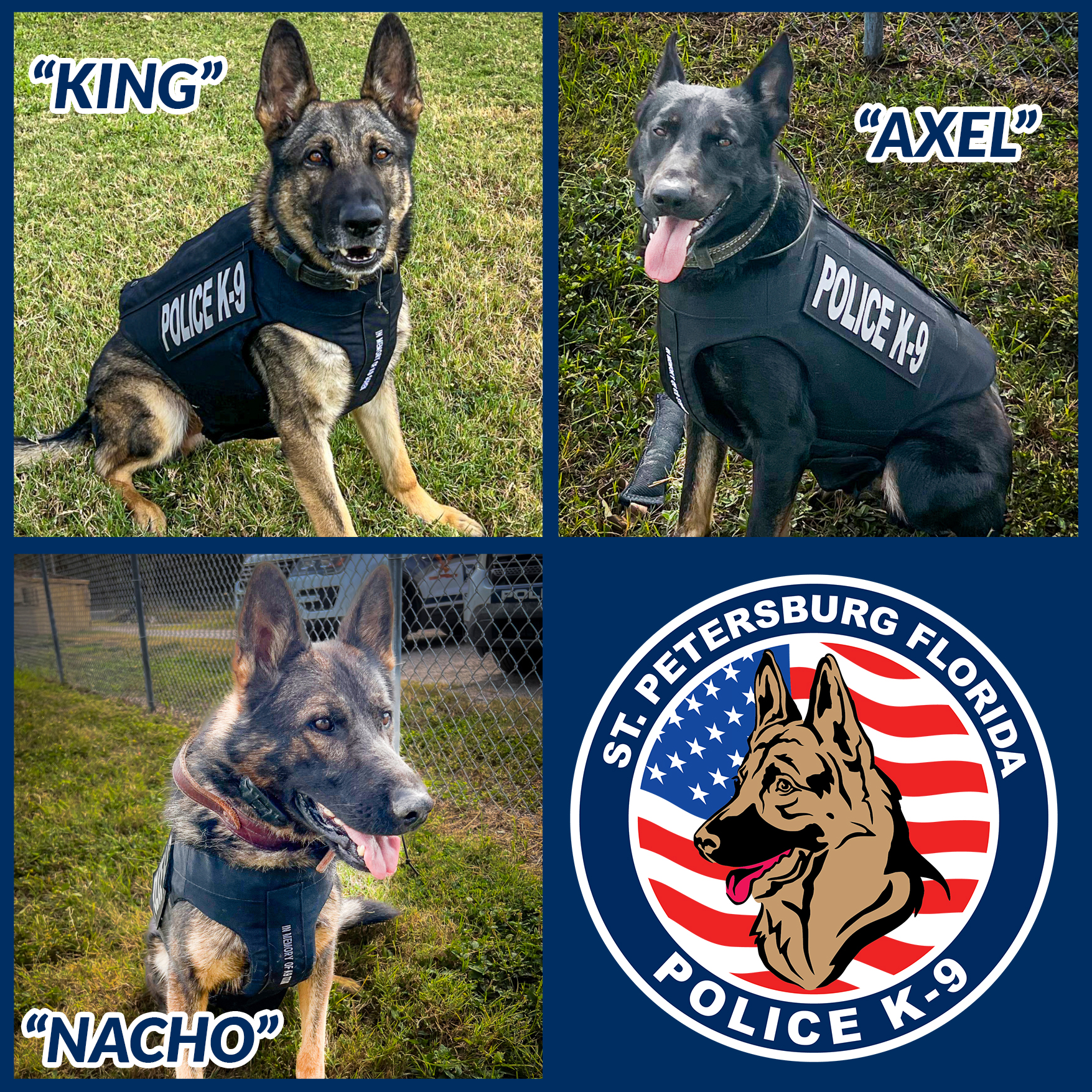 Axel Nacho King in vest