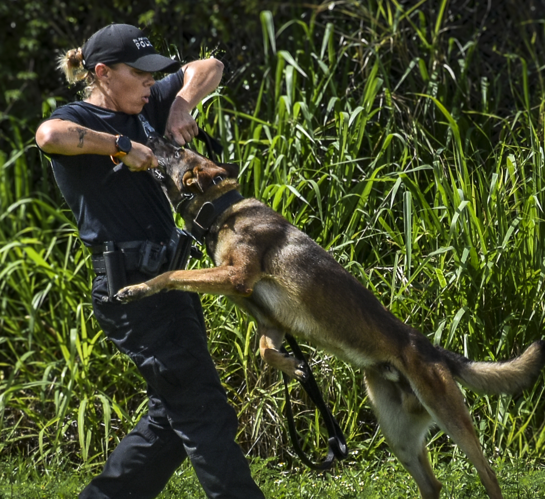 K9 Cimi
